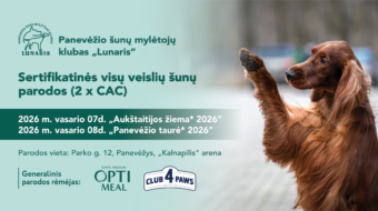 Visų veislių šunų paroda | Aukštaitijos žiema 2026