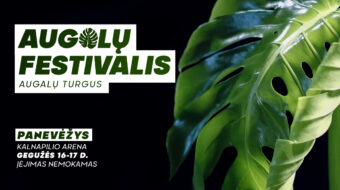 Augalų festivalis